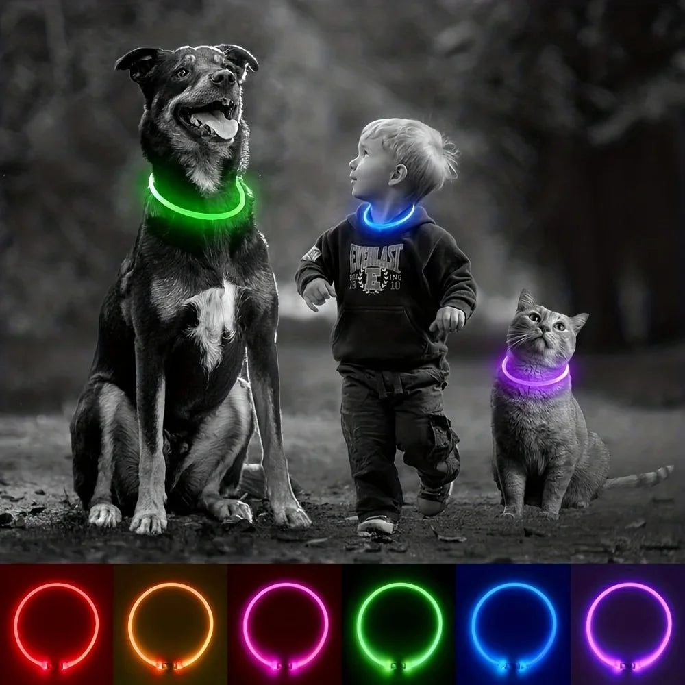 LED Light-Up Dog Collar – Anti-Lost, Reflective, USB Rechargeable