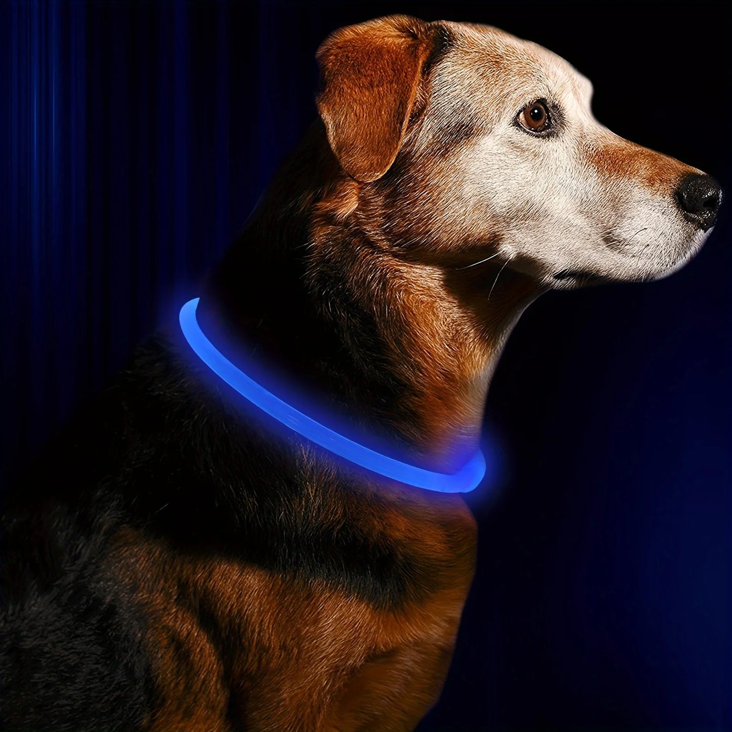 LED Light-Up Dog Collar – Anti-Lost, Reflective, USB Rechargeable