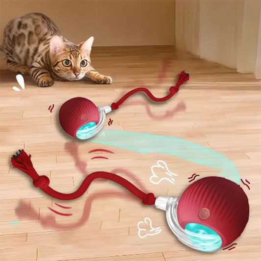 Smart Interactive Cat Toy Ball - Auto-Rolling, USB Rechargeable, Motion Sensor Play