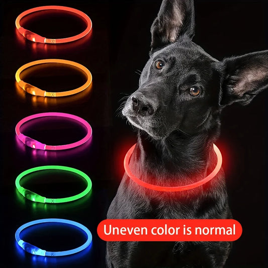 LED Light-Up Dog Collar – Anti-Lost, Reflective, USB Rechargeable