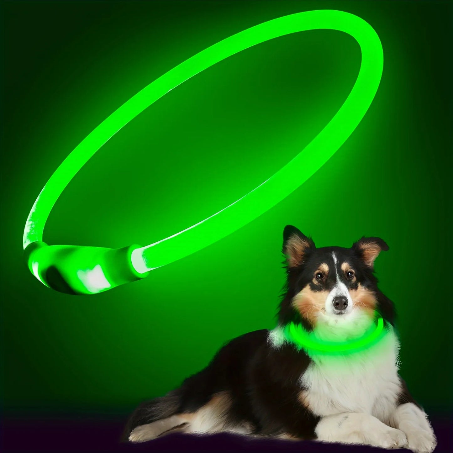 LED Light-Up Dog Collar – Anti-Lost, Reflective, USB Rechargeable