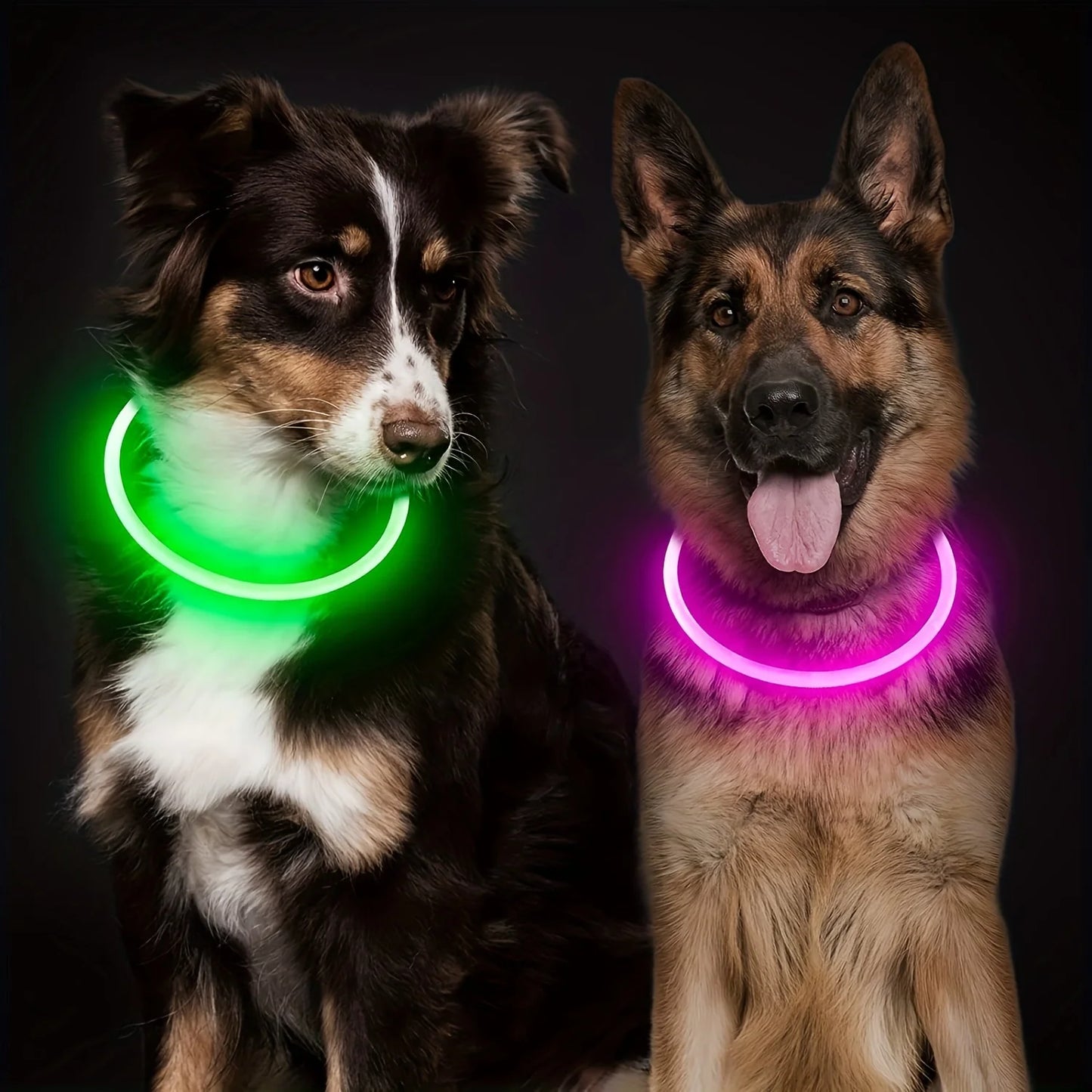 LED Light-Up Dog Collar – Anti-Lost, Reflective, USB Rechargeable