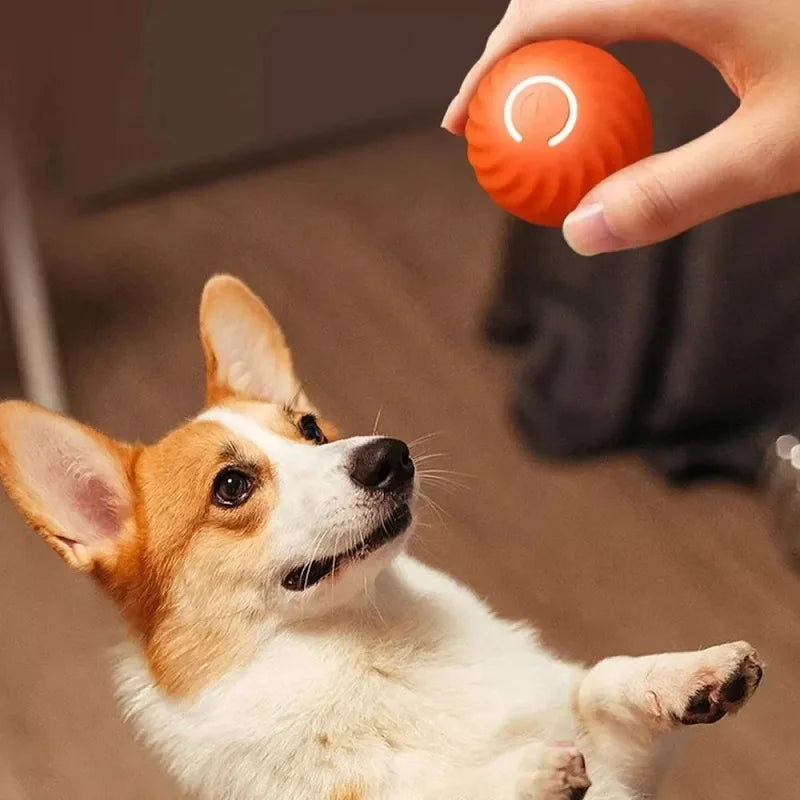 Smart Automatic Dog Toy Ball – Moving, Bouncing, USB Rechargeable Interactive Play