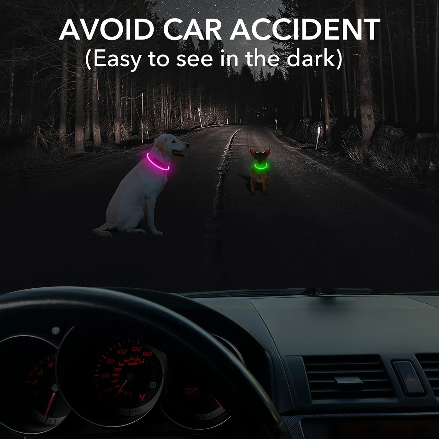 LED Light-Up Dog Collar – Anti-Lost, Reflective, USB Rechargeable