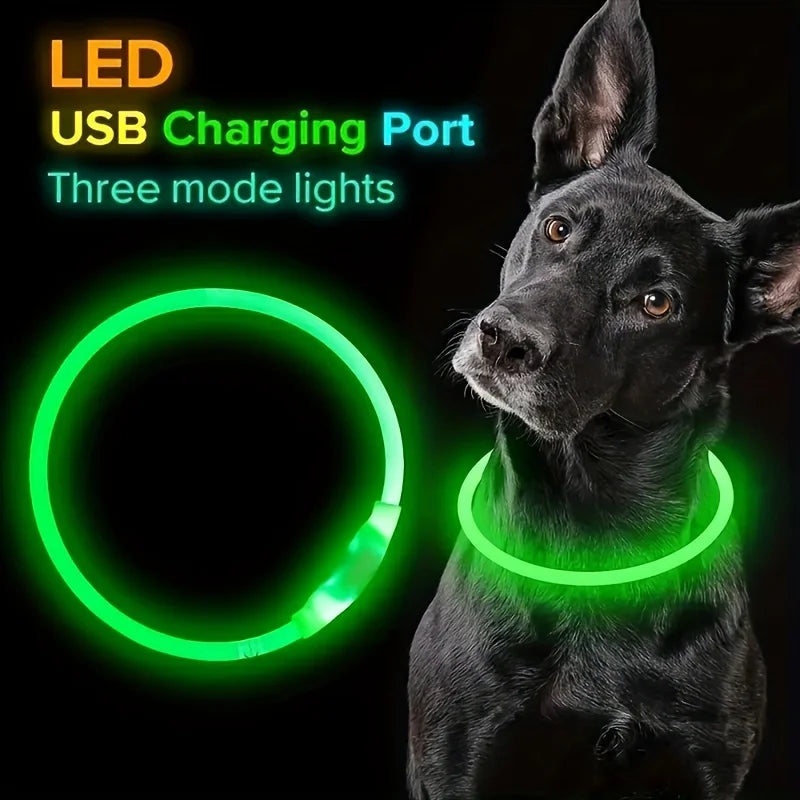 LED Light-Up Dog Collar – Anti-Lost, Reflective, USB Rechargeable