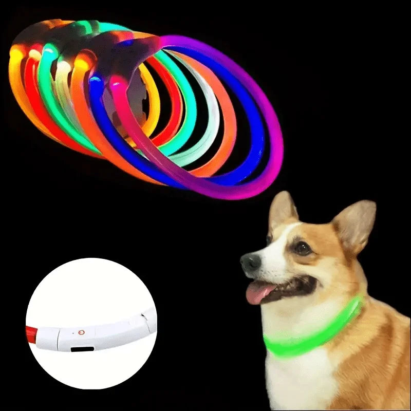 LED Light-Up Dog Collar – Anti-Lost, Reflective, USB Rechargeable